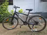 The cycle is from Hercules Brand. It is around 1.5 years old.