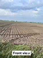 Agricultural Land for Sale 3.87 Acres in Gopavaram Village, Proddatur