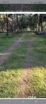 Selling coconut land near aliyar kottur anaimalai taluk i