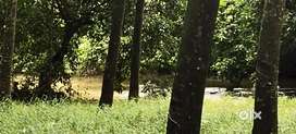 Ernakulam district  - Kombanad, 8 acre land for Sale