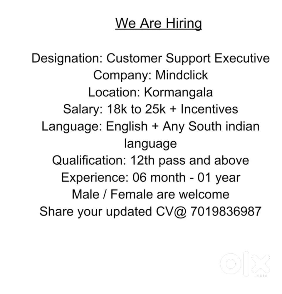 Customer Support Executive