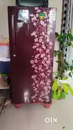 Haier single door refrigerator