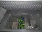 Deep freezer