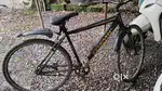 Bycycle Cosmic