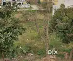 200 gaj plot