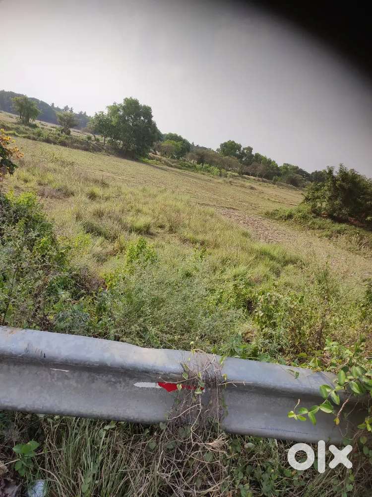 NH SITE LAND NEAR KENDRAPARA