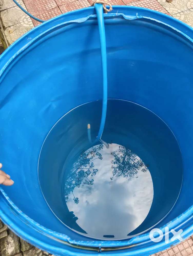 Pani darm he
