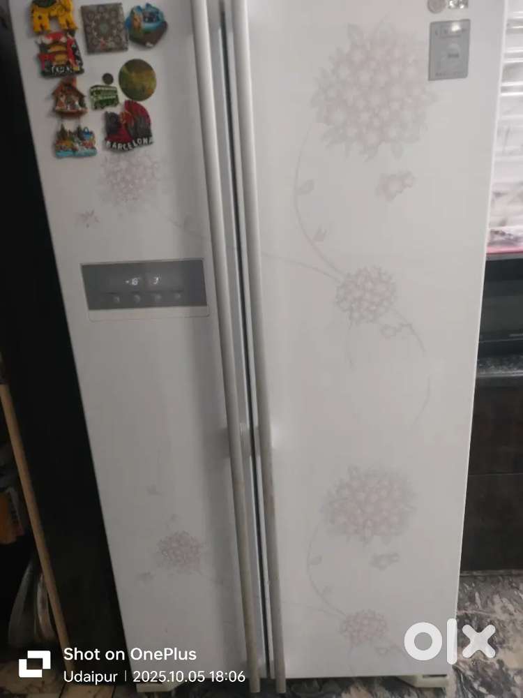 Lg double door side by side