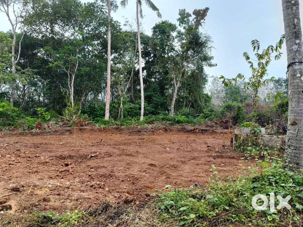 Chethikkode near kanjiramattom