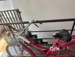 Lotus  cycle