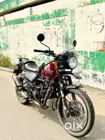 Well maintained Himalayan with Single owner