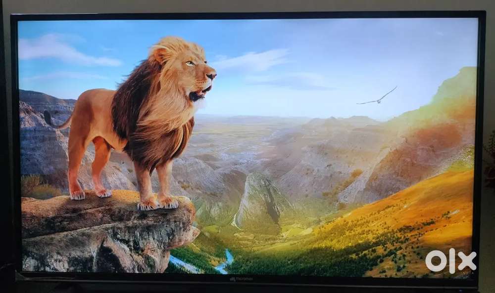 Micromax 4K UHD Smart TV (43 inch)