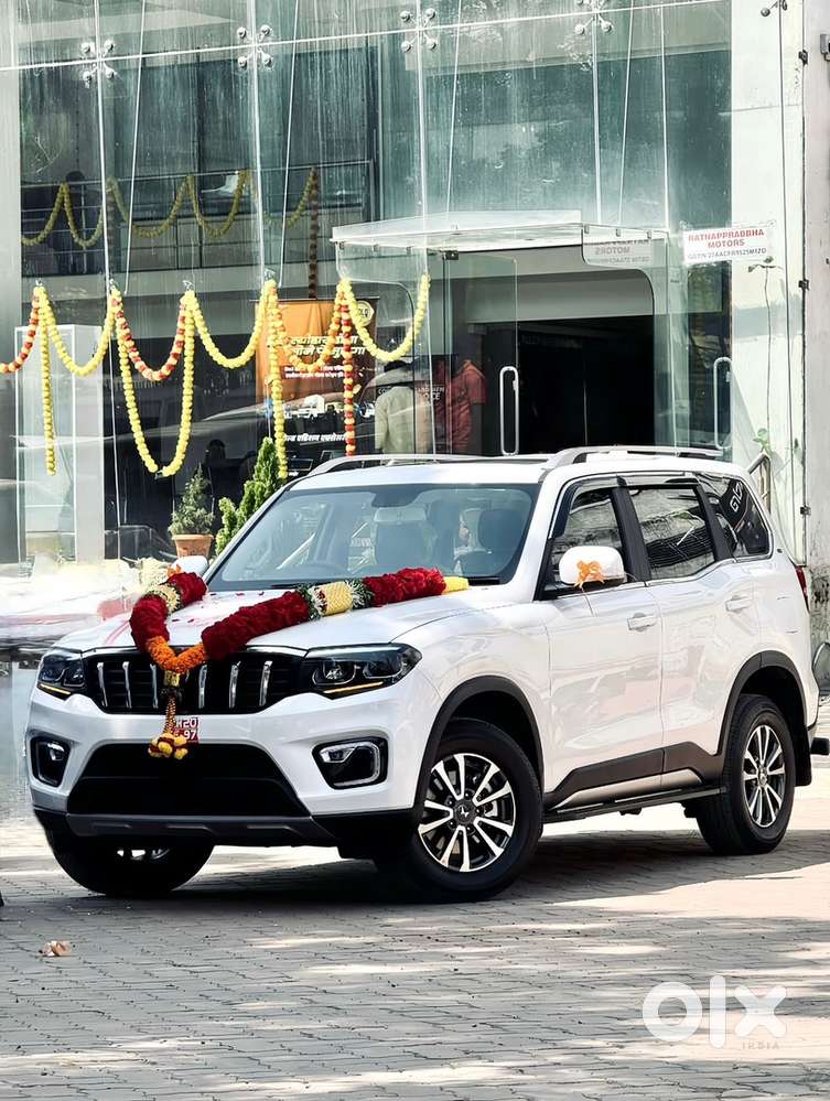 Driver & Personal Assistant