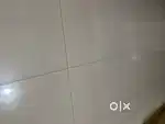 2BHK Individual house for rent