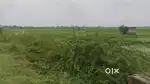 Lucknow raibareli road pe sabse saste plot 199/-sqft