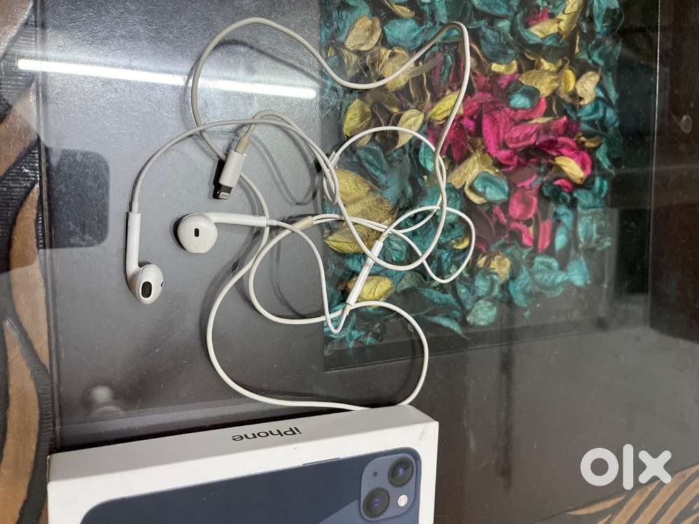 Apple Original Wired Earphones!