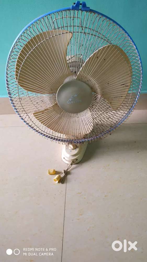 Wal fan .gloster company