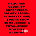 Security Supervisor job tricity