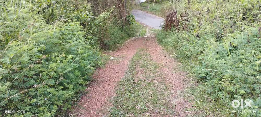 Dry land near Aryanad, parantode, suitable for all purpose