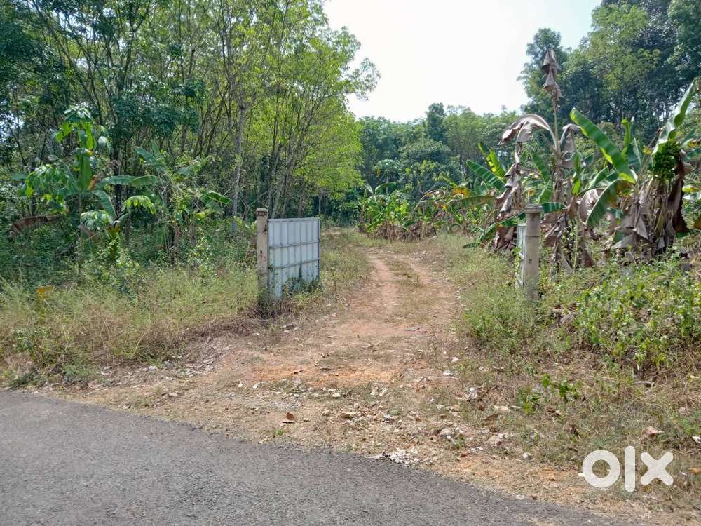 1.27 Acre Valavoor, Pala