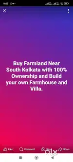 Farmland available for sale for growing fruit trees