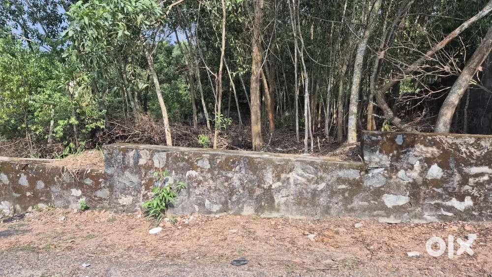 9.5 cents Premium land Akkulam