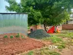 262 sq yards west facing DTCP plot available