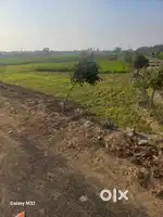 1000 gajj plot for sale mansa road 24 foot gali de vich