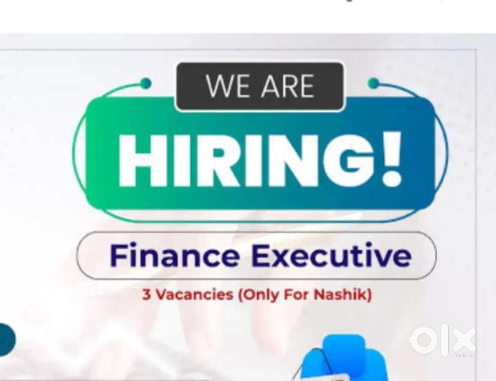 Finance Executive officer
