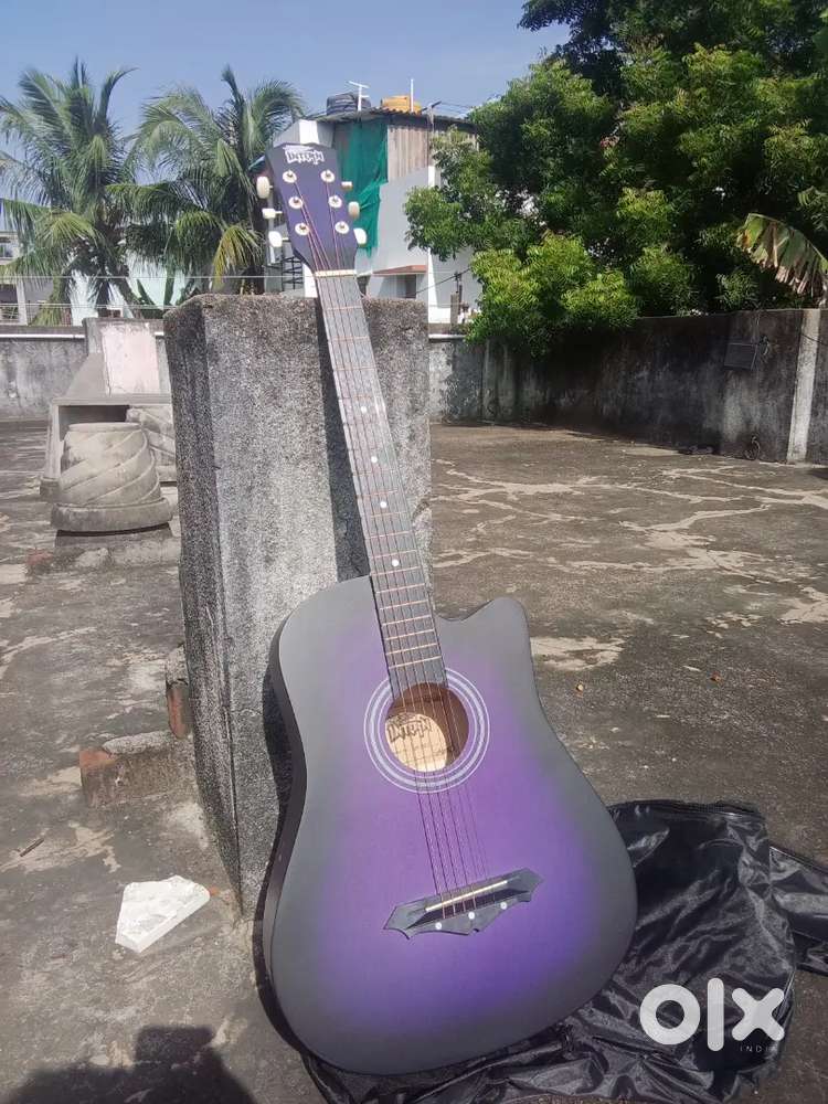 Acoustic guitar