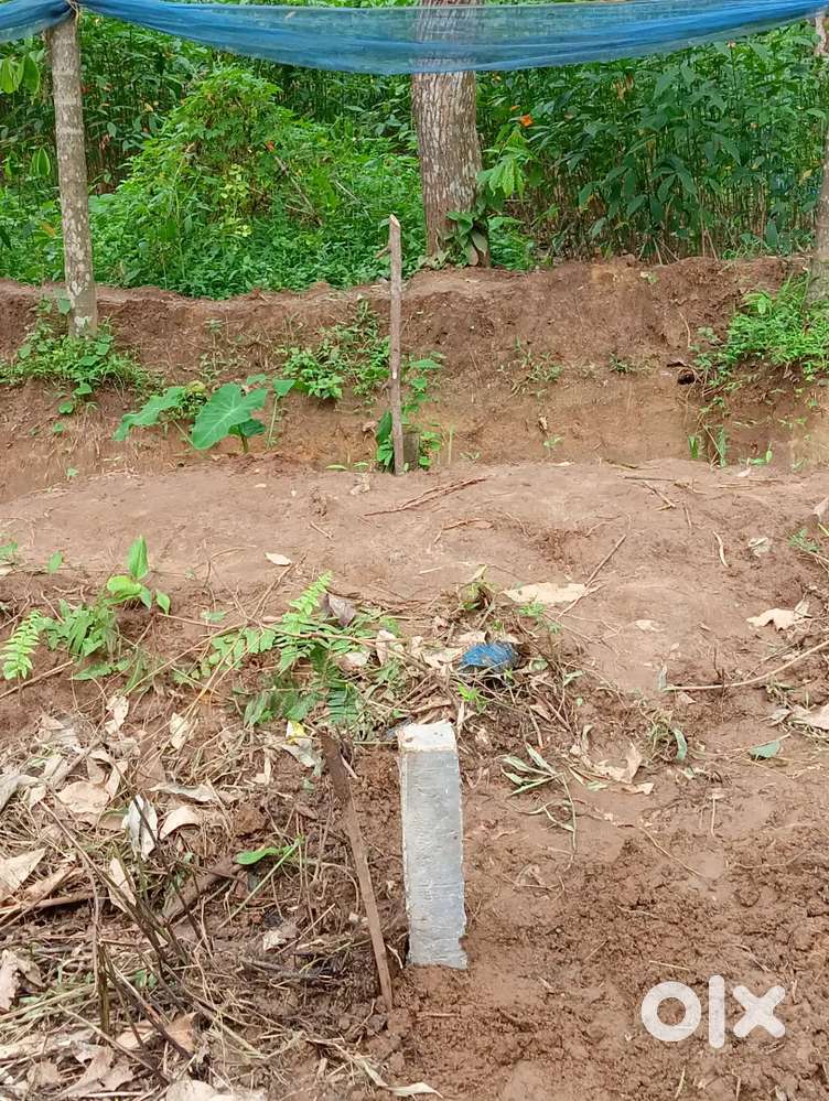 Rubber bagan 14 kani..ek sathe bikri korbo.dui side e garir rasta ache