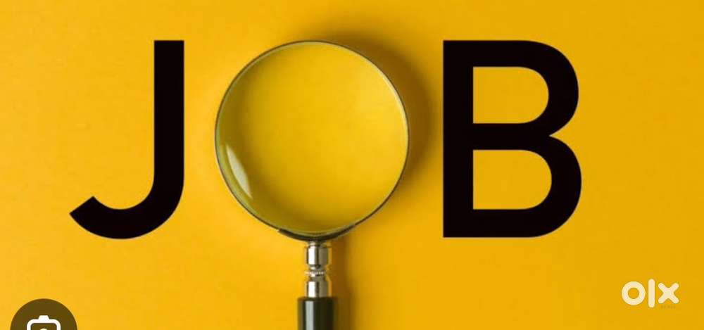 Female for office work