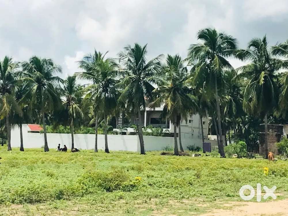 Minjur Thiruvellavoyal. DTCP Approved. Registration Free Villa 21 Lakh