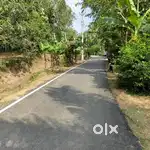 20 Scent plot near NH 66