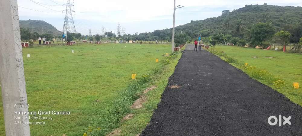 Best investment Dtcp approved plot for sale near Singaperumal koil