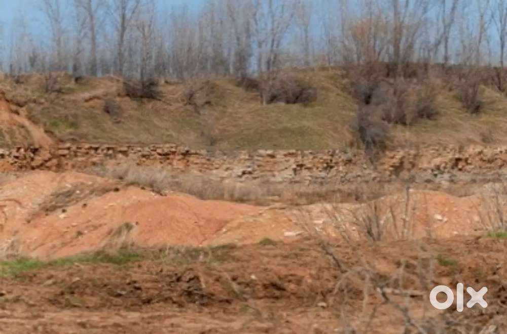 8 Acre Agriculture land (Dolomite Stone) near Baradwar