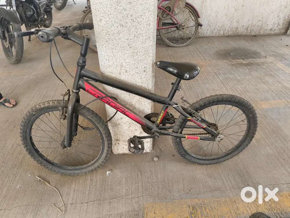 Urgent Sell cycle 20 inch