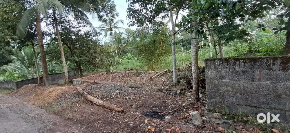 4 cent വസ്തു വില്പനയ്ക്ക്