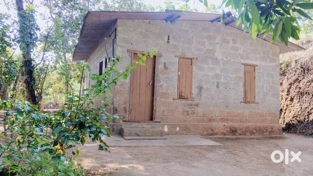 13 Cent Land with House for Sale  Anchal, Archal