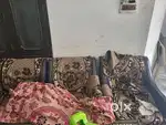 3+1+1 size sofa set and one huge table for sale