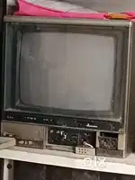 Television