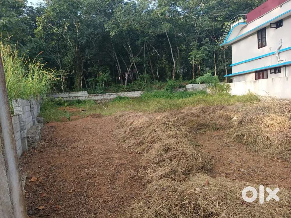 10 cent plot near parkkal jn