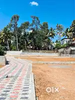 HOUSE PLOTS AT ANGAMALY, KARUKUTTY, PULIYANAM 5 Cent to 10 Cent
