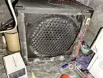 Bass with amplifier and speaker