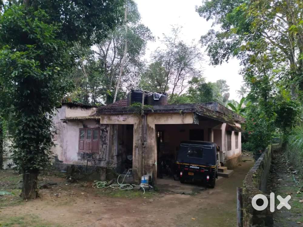 A 15 cent residential plot area is for sale.