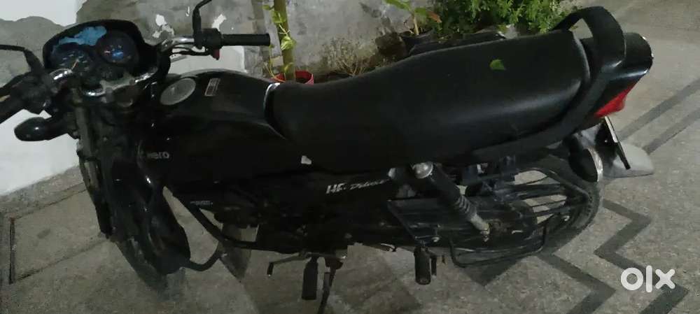 New brind everything