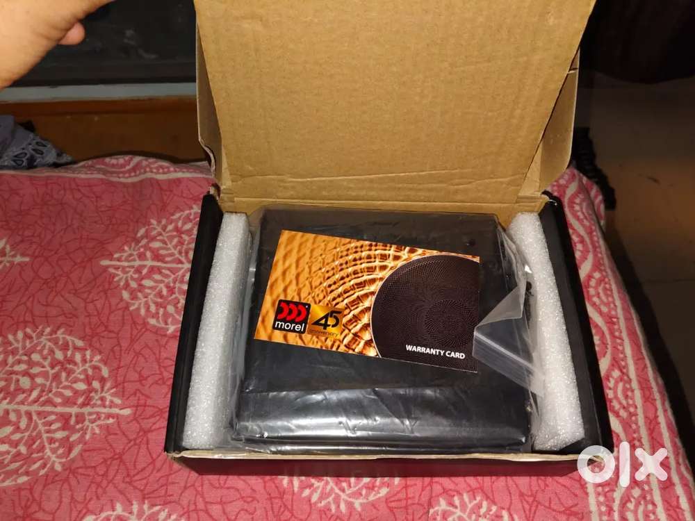 Morel Mono amplifier