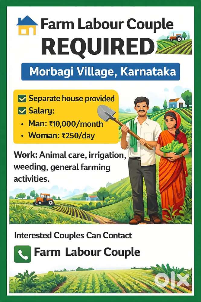 Farm Labour Couple Required – House Provided