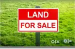 PLOT FOR SELL IN GUJRATI COLONY