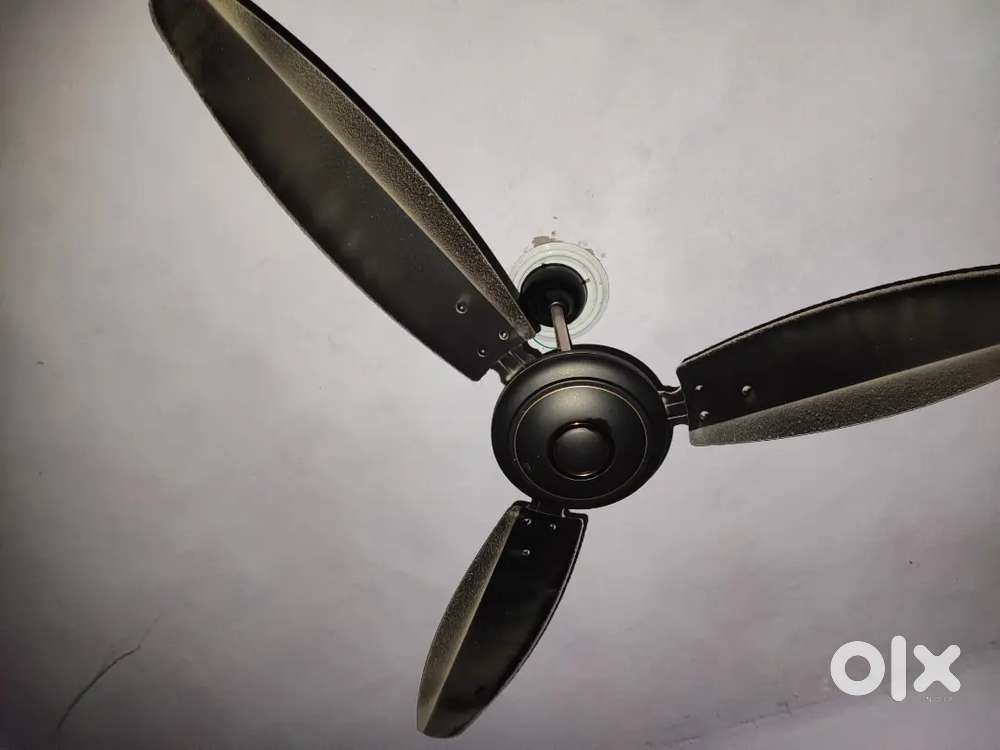 Fan and kitchen item gas and burner